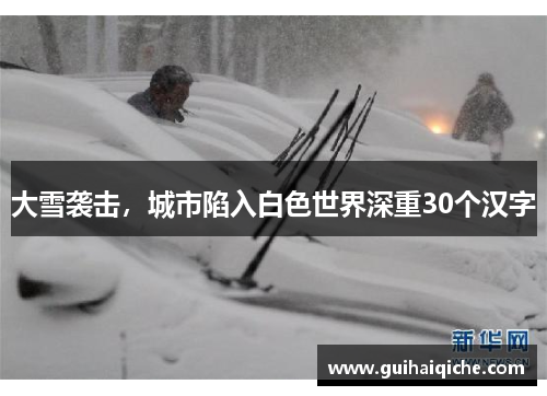 大雪袭击，城市陷入白色世界深重30个汉字